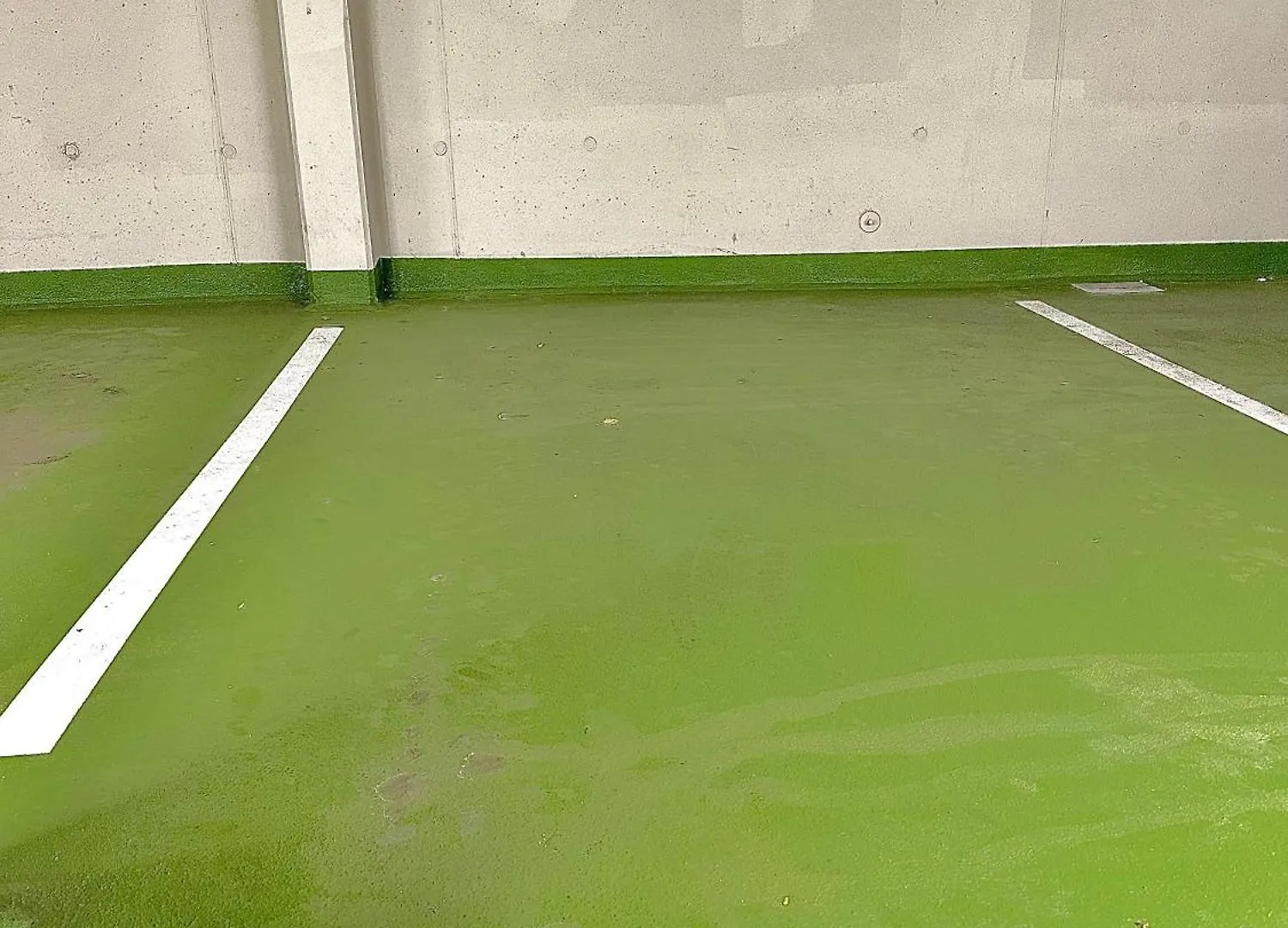 Mca Triiiple I Rooftop Pool I Free Parking I Netflix Vienna Austria